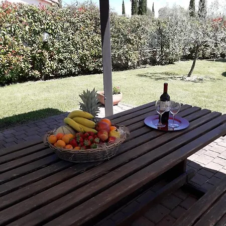 Il Giardino Degli Ulivi Castiglione Del *